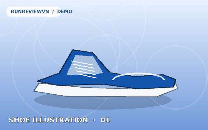 Ảnh minh họa RunReviewVN Demo